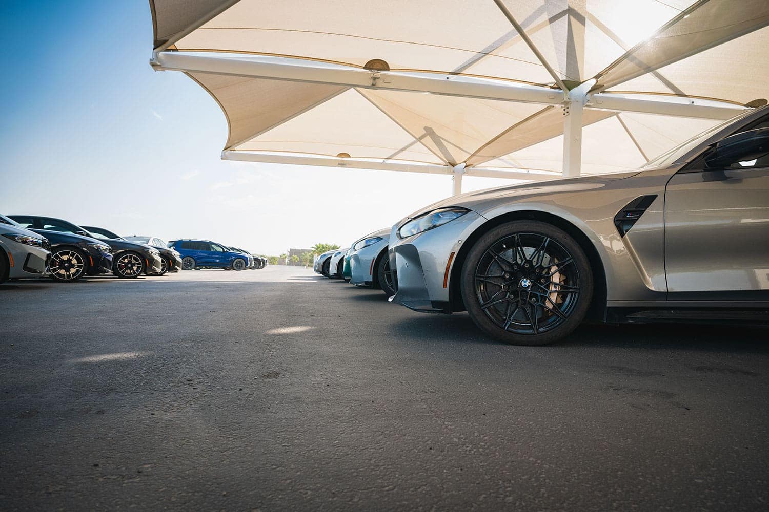 BMW M cars