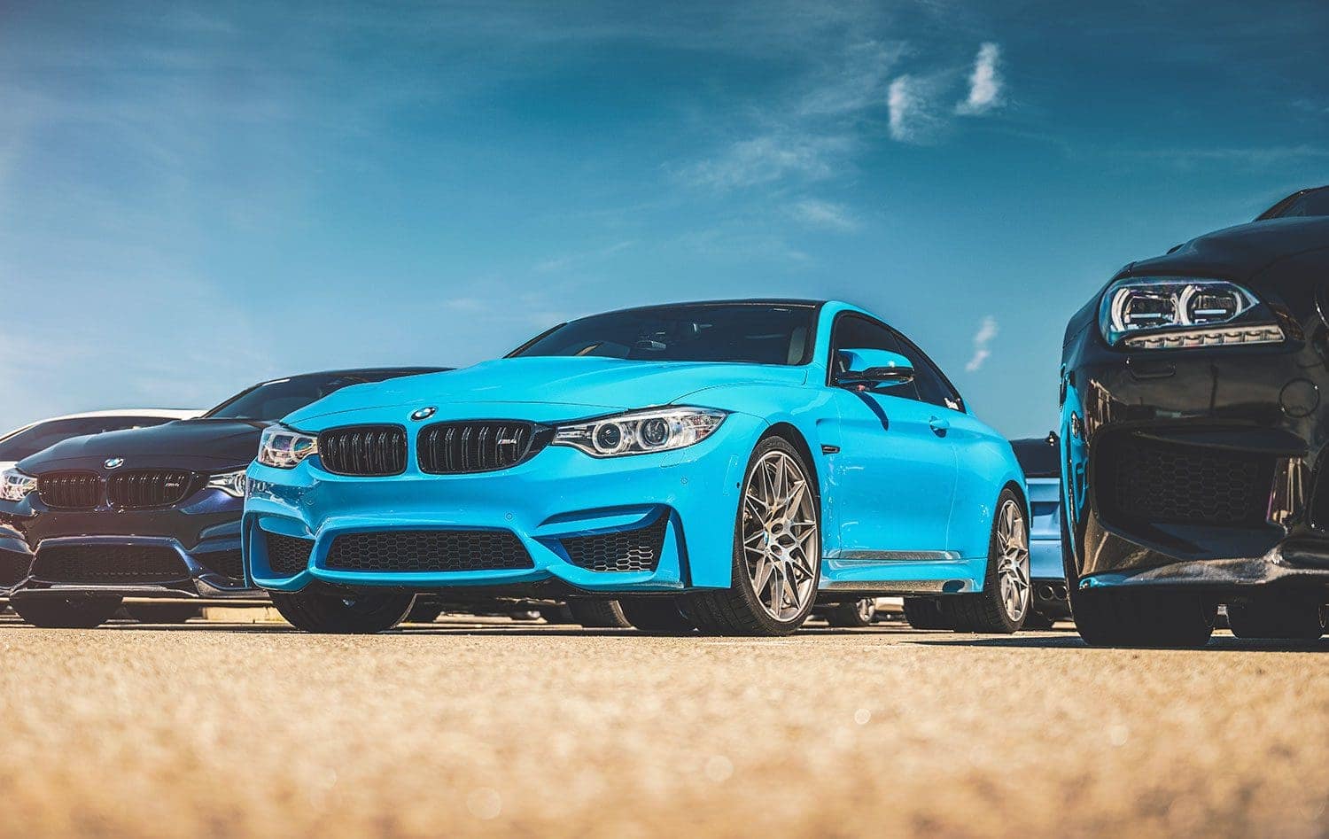 Mexico Blue