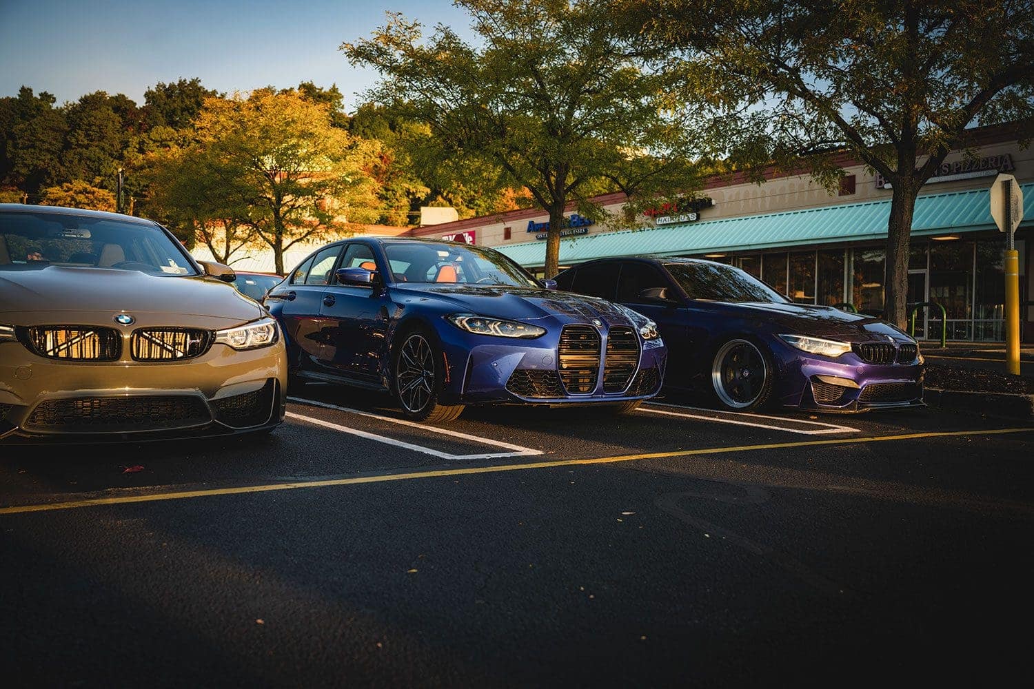 BMW M Fall Cruise