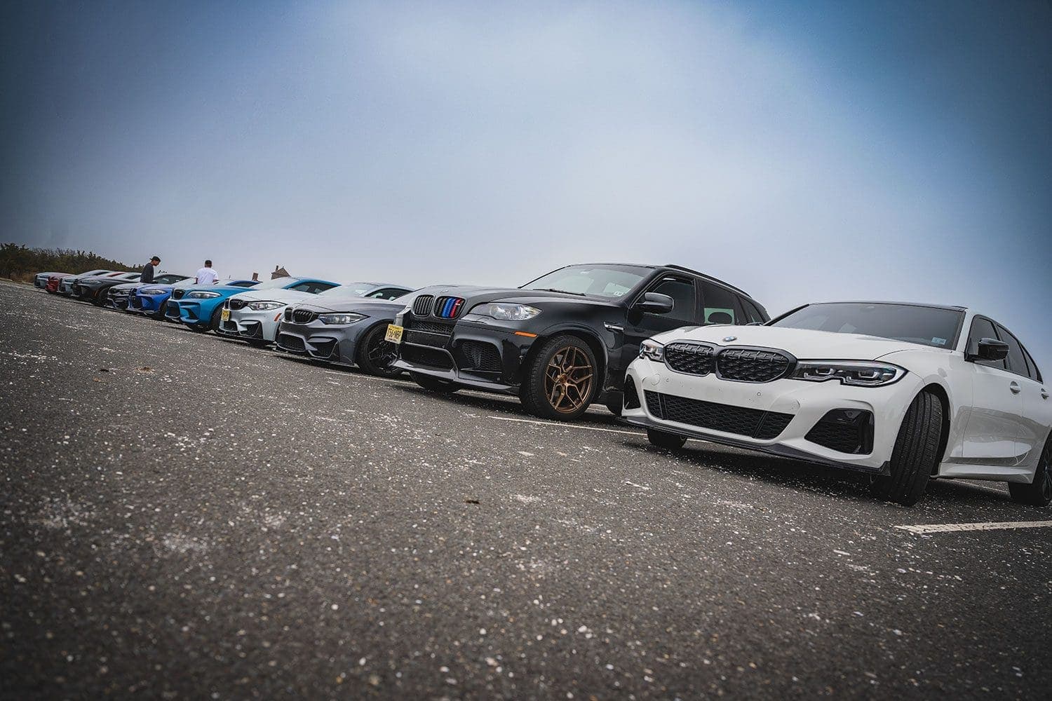 Spring M Cruise