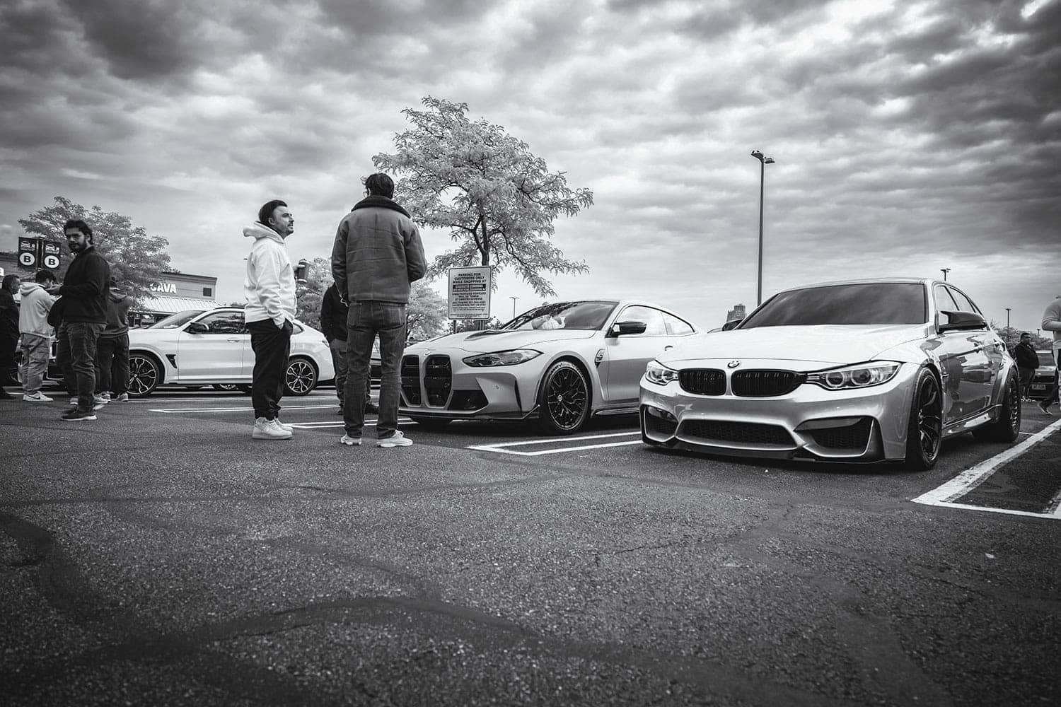 M Fall Cruise