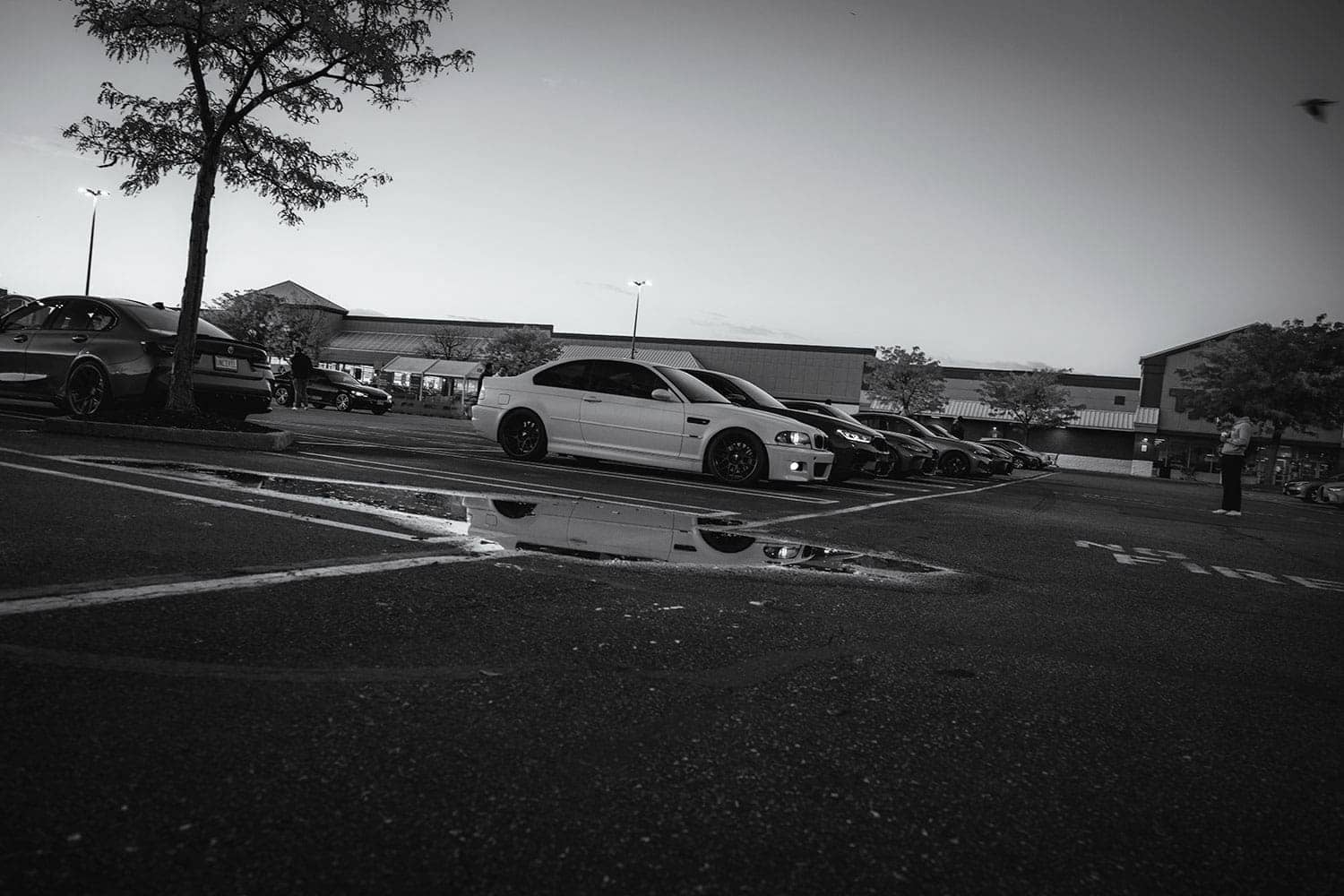 M Fall Cruise