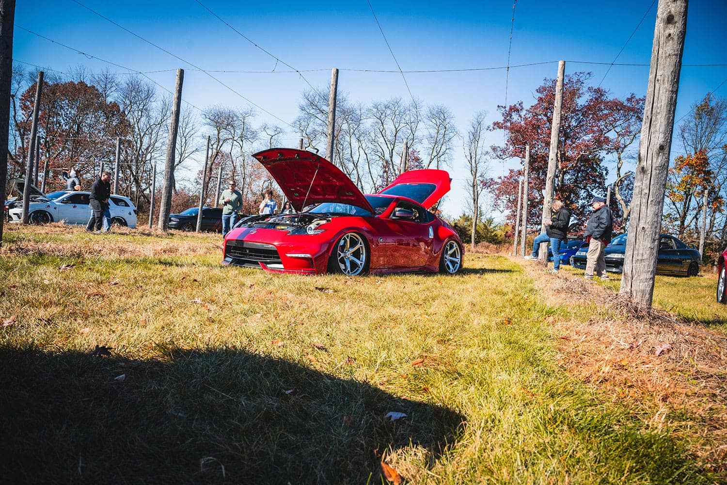 brakes-and-briskets-7