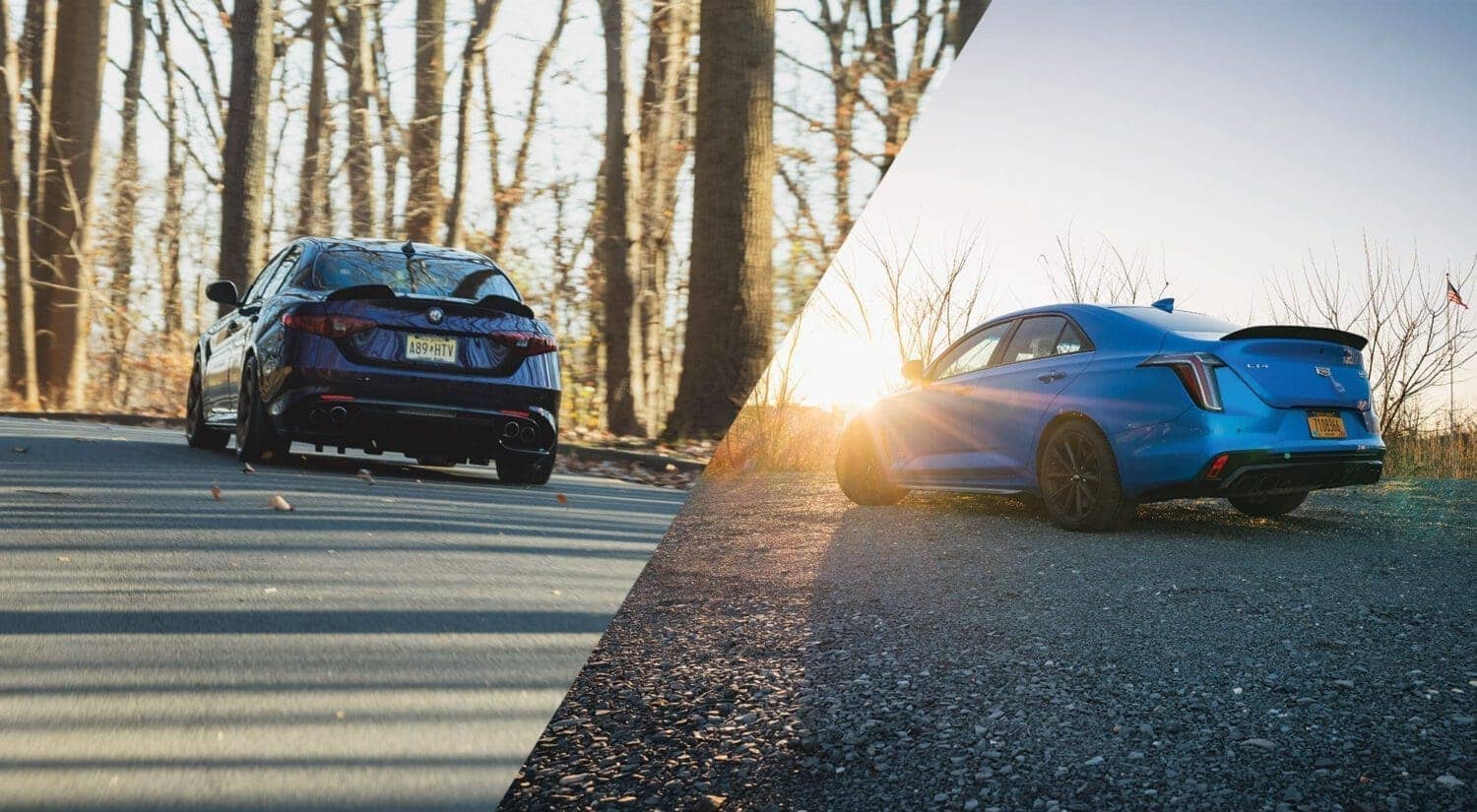 alfa-vs-caddy