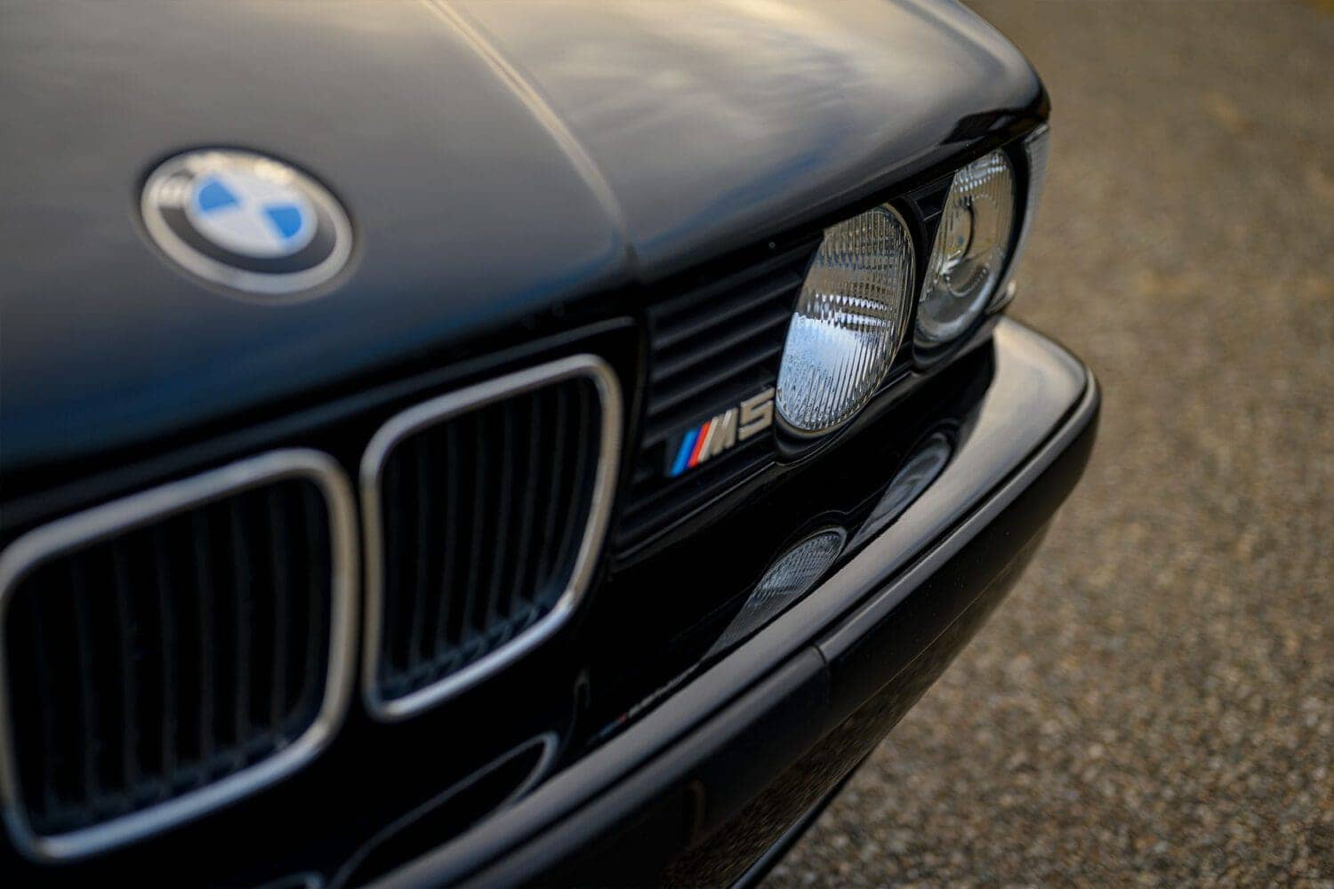 E34 M5 badge