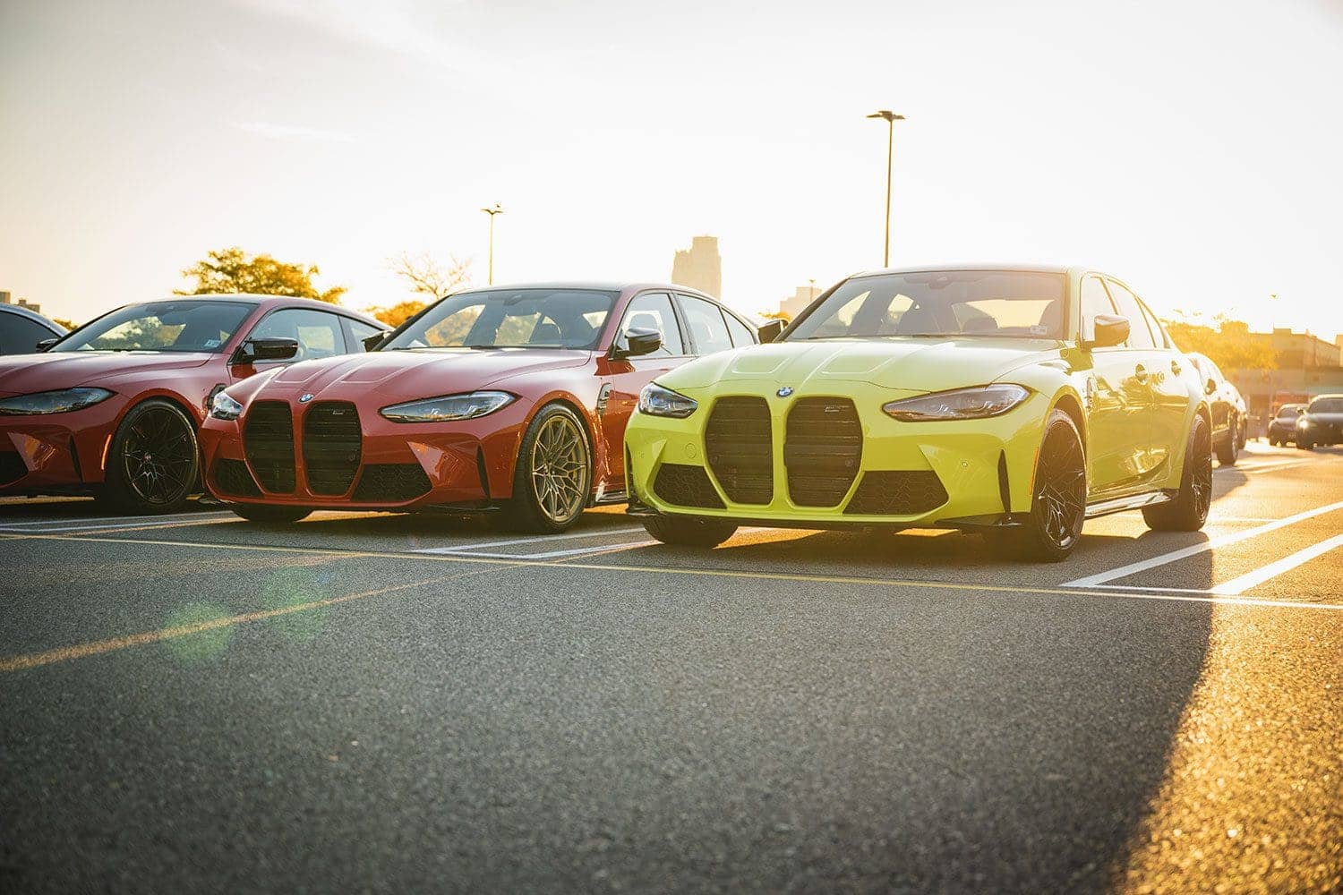 BMW M Fall Cruise