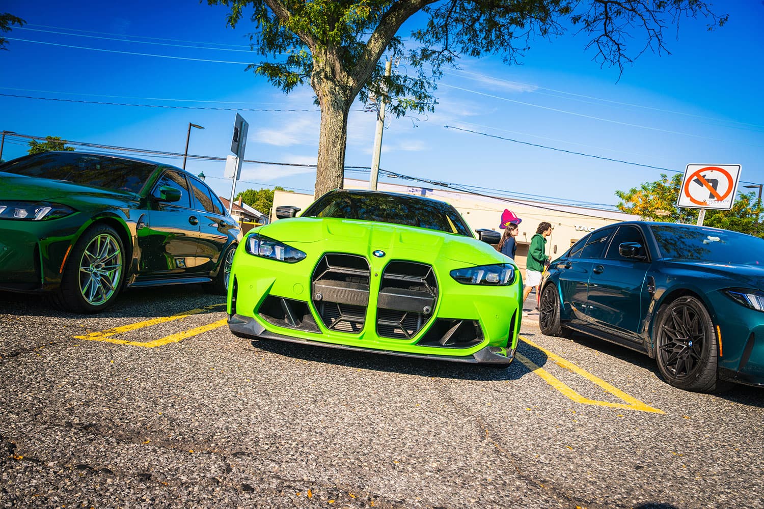 Verde Mantis