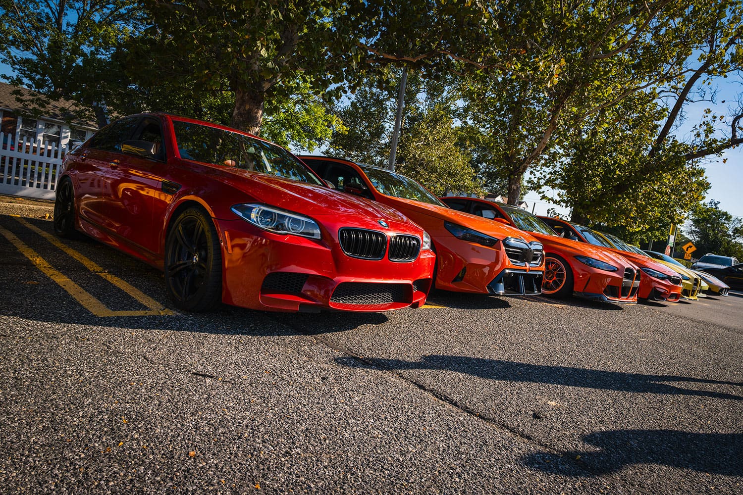 Sakhir Orange