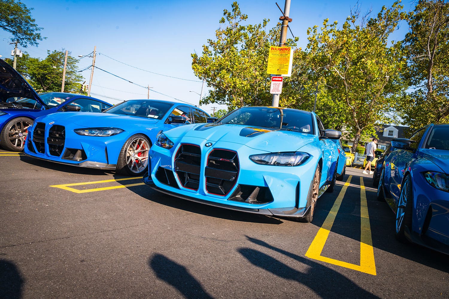 Rivera Blue