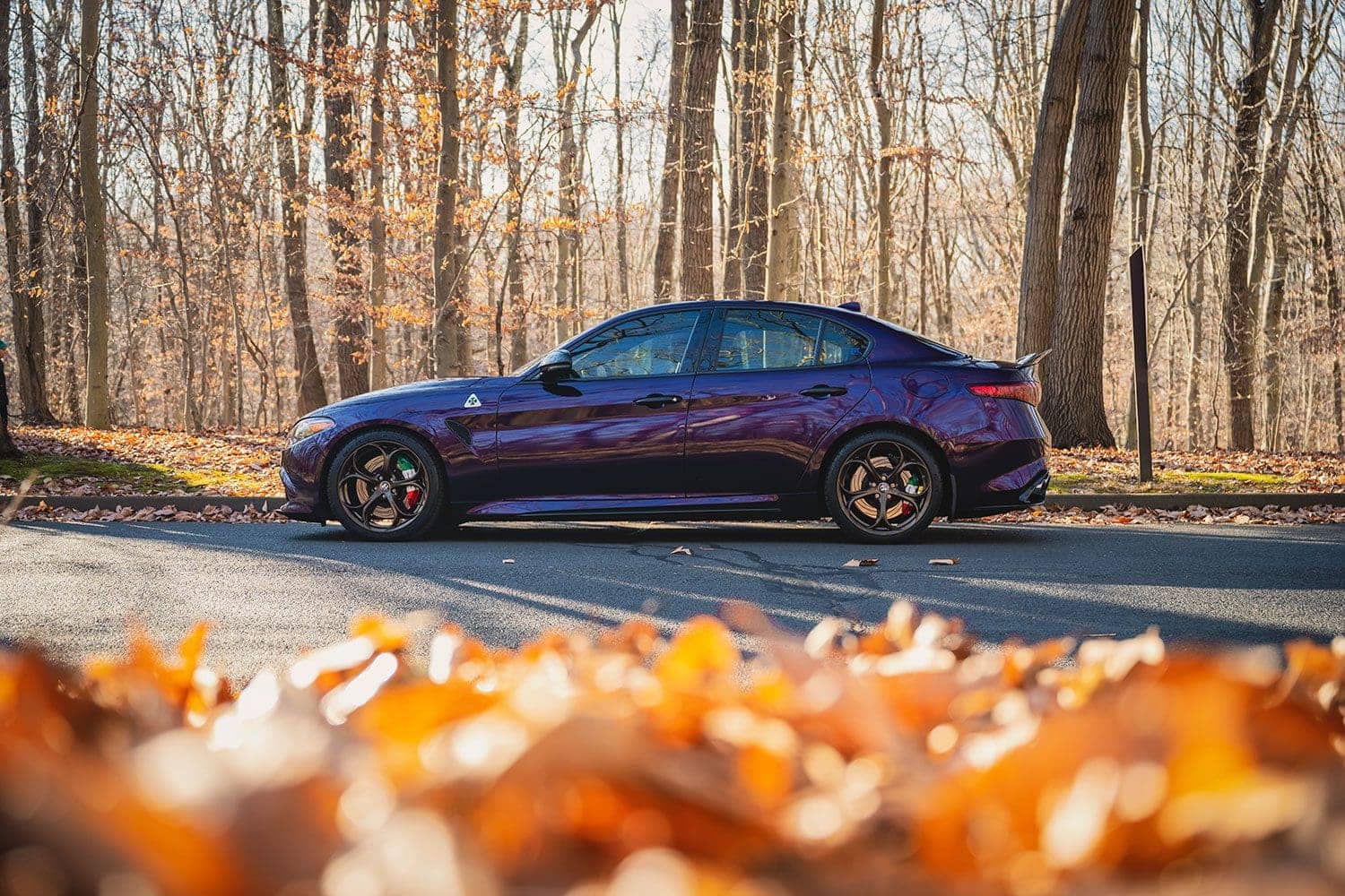 alfa romeo quadrifoglio