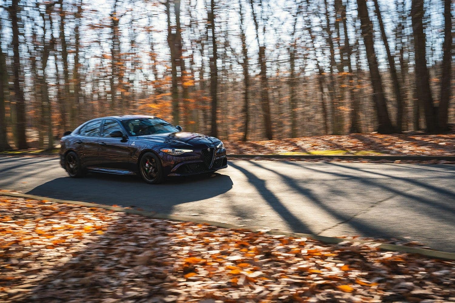 alfa romeo quadrifoglio