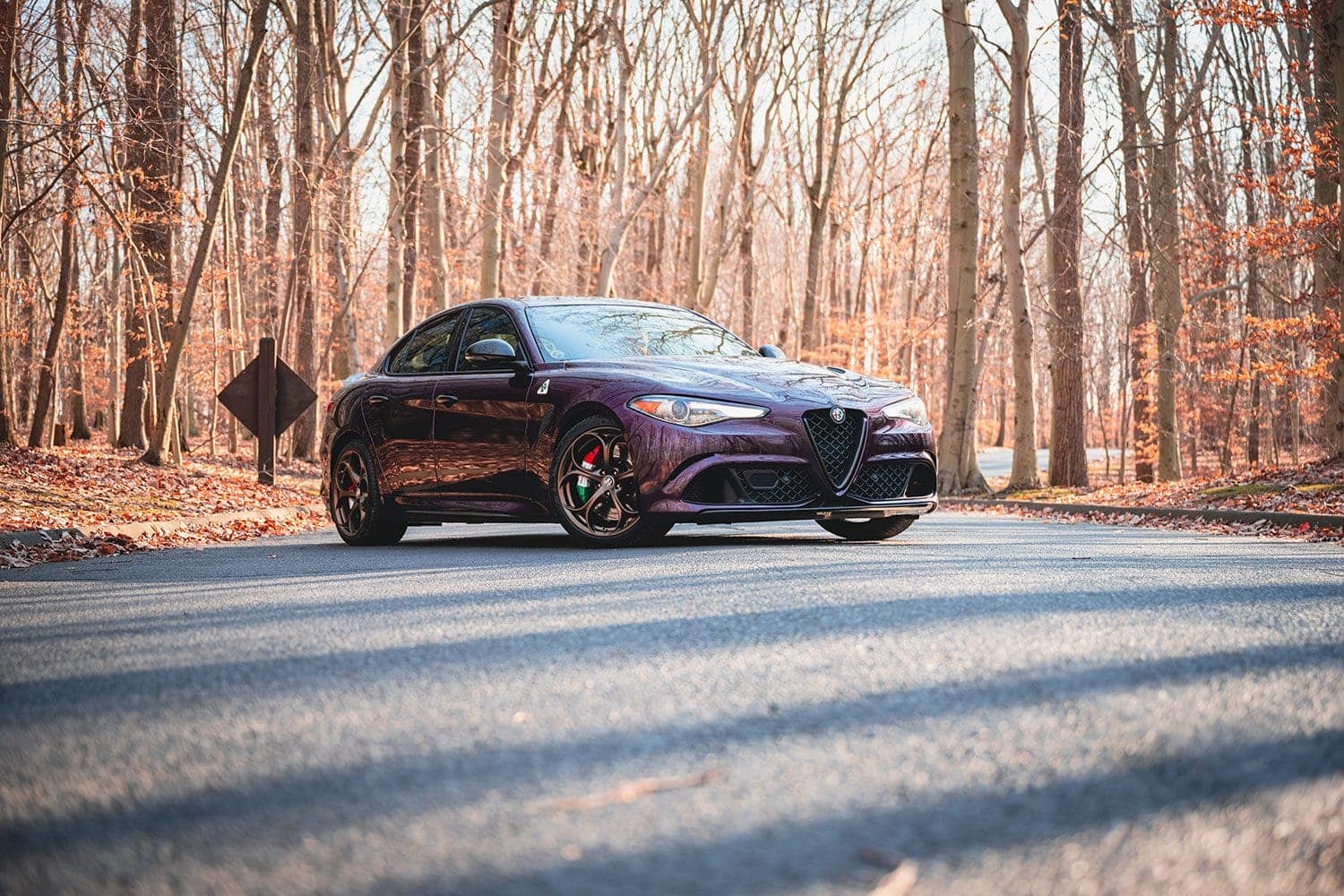 M3 vs Alfa Romeo