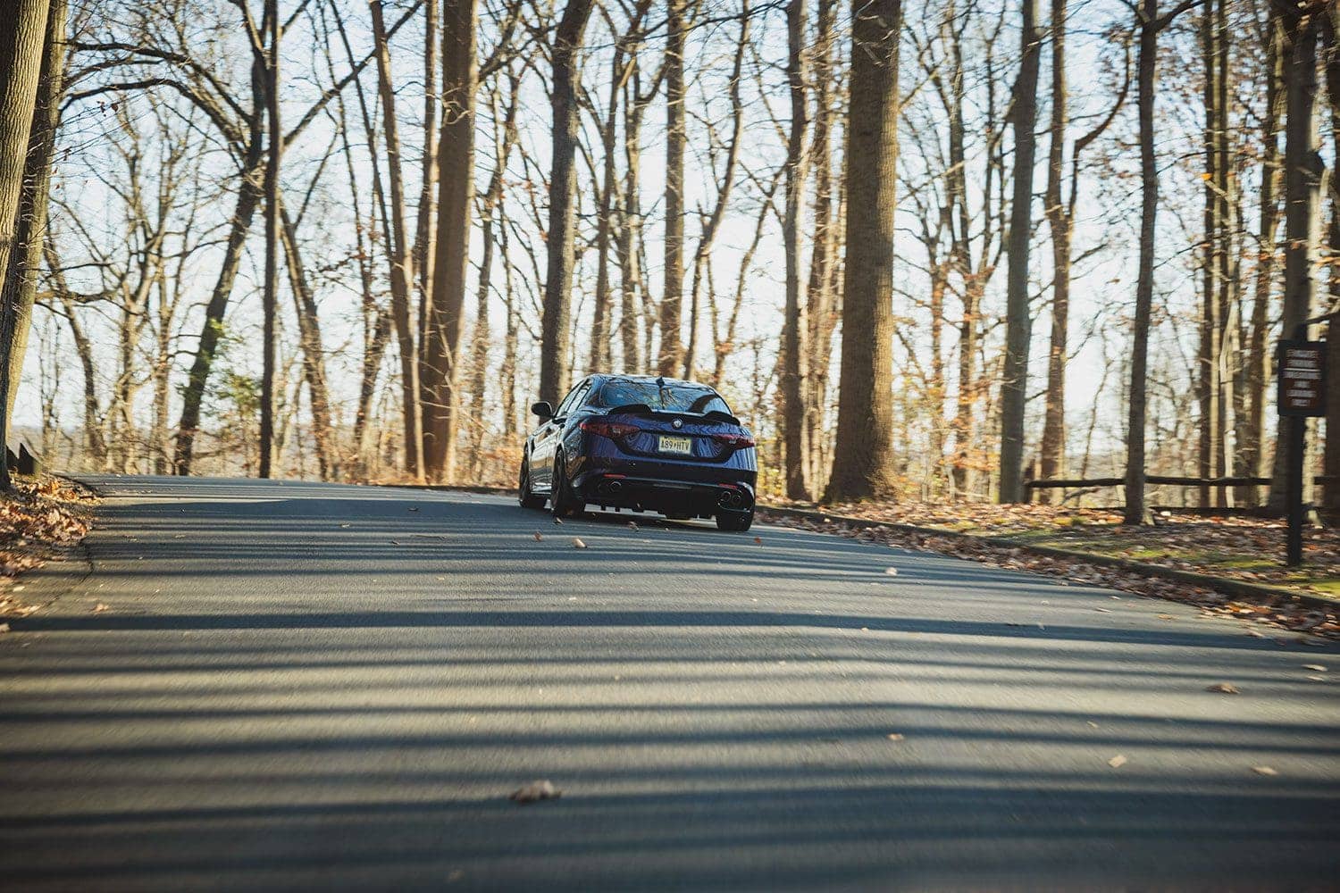 alfa romeo quadrifoglio