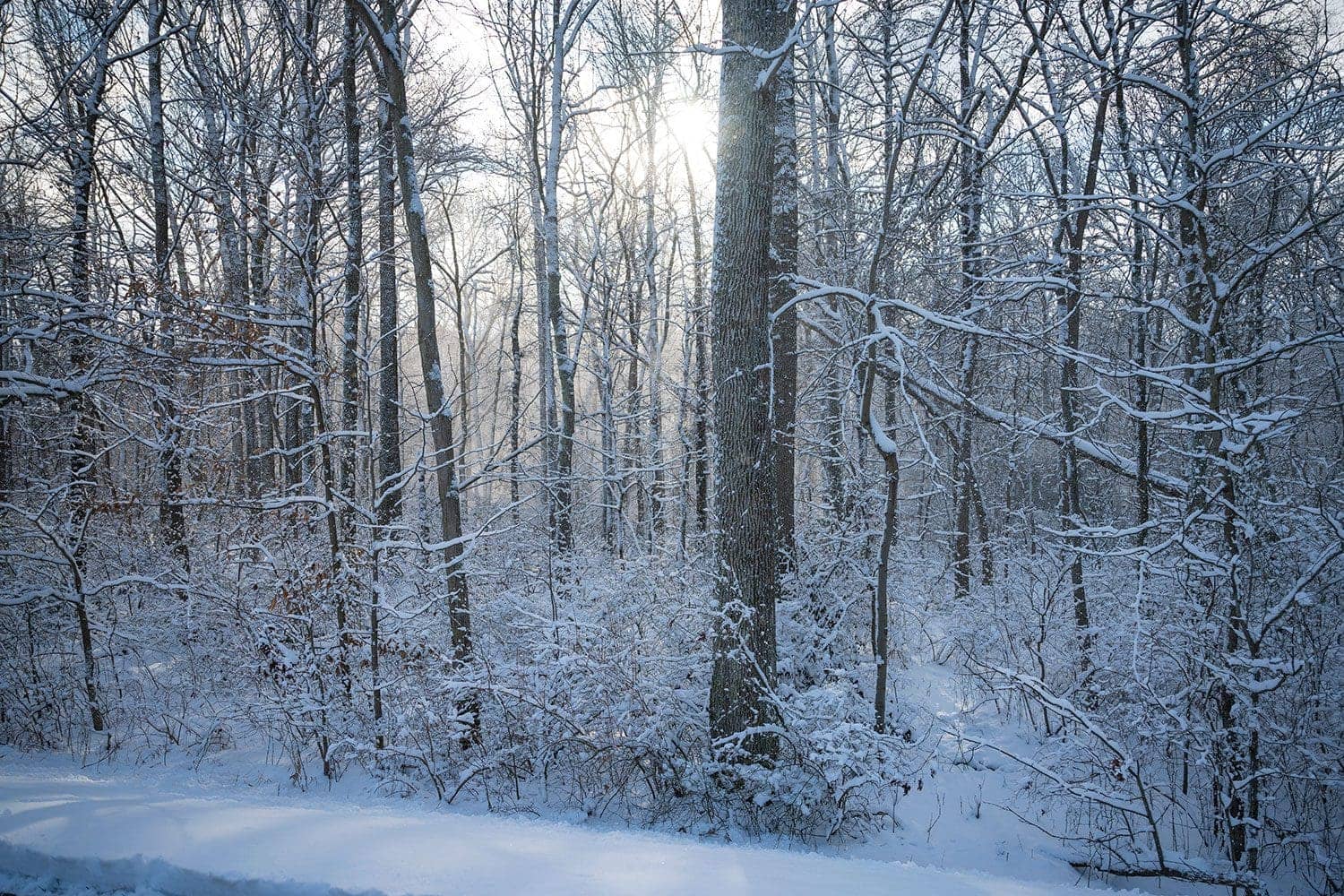 Snow