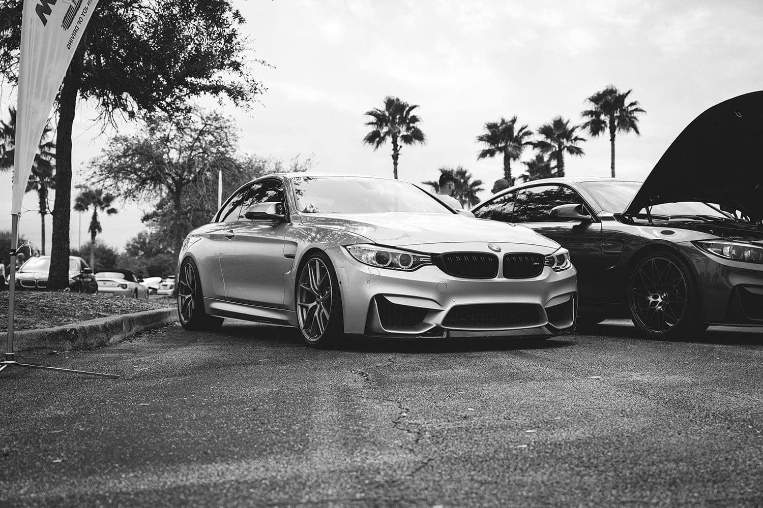 bmw invasion of orlando