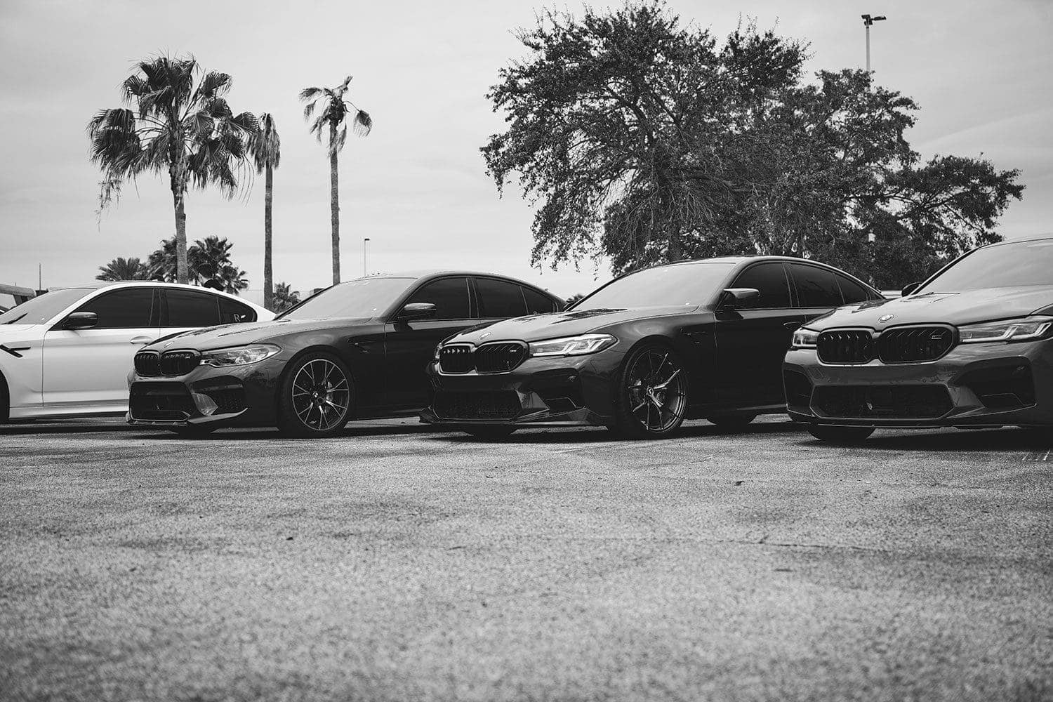 bmw invasion of orlando