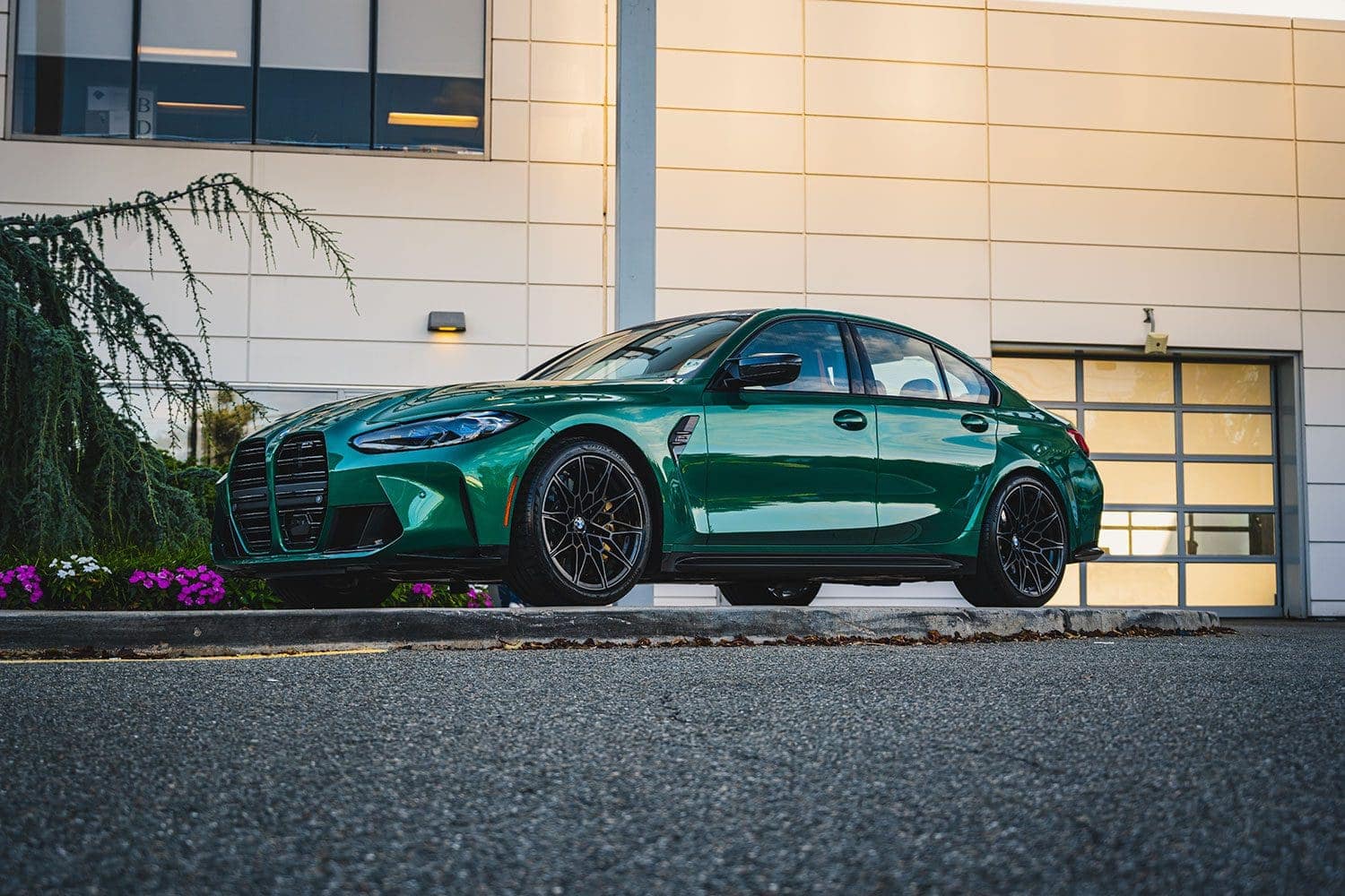 m3-competitio