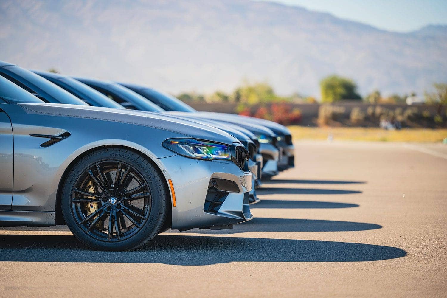 BMW M5