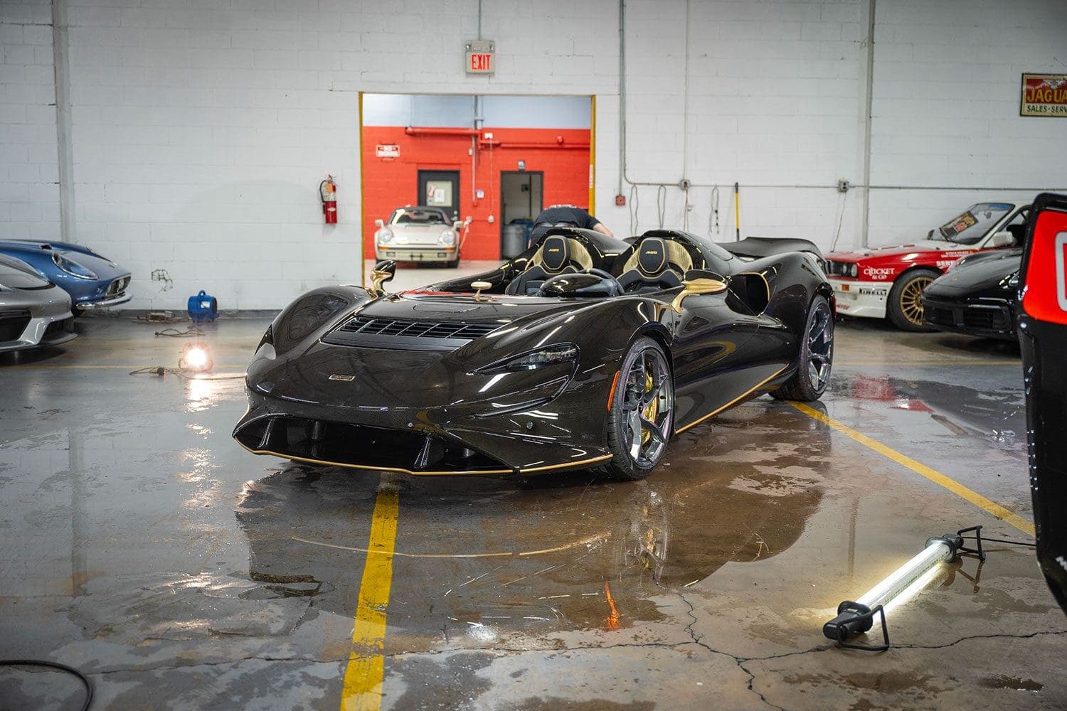McLaren Elva