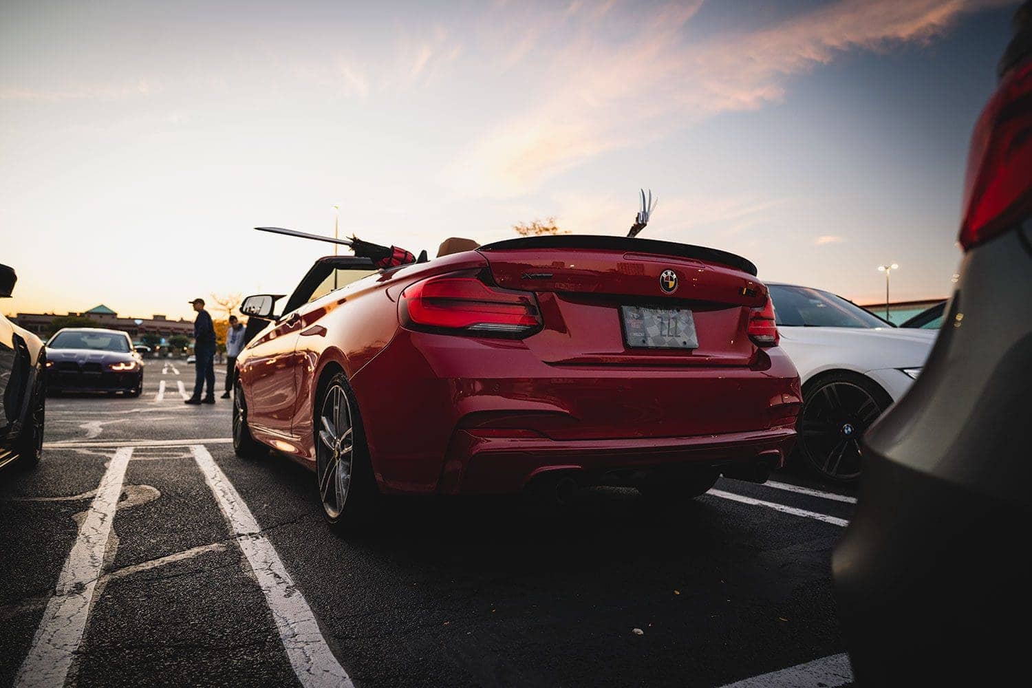 BMW M Fall Cruise