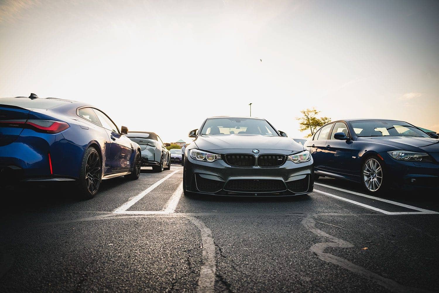 BMW M Fall Cruise