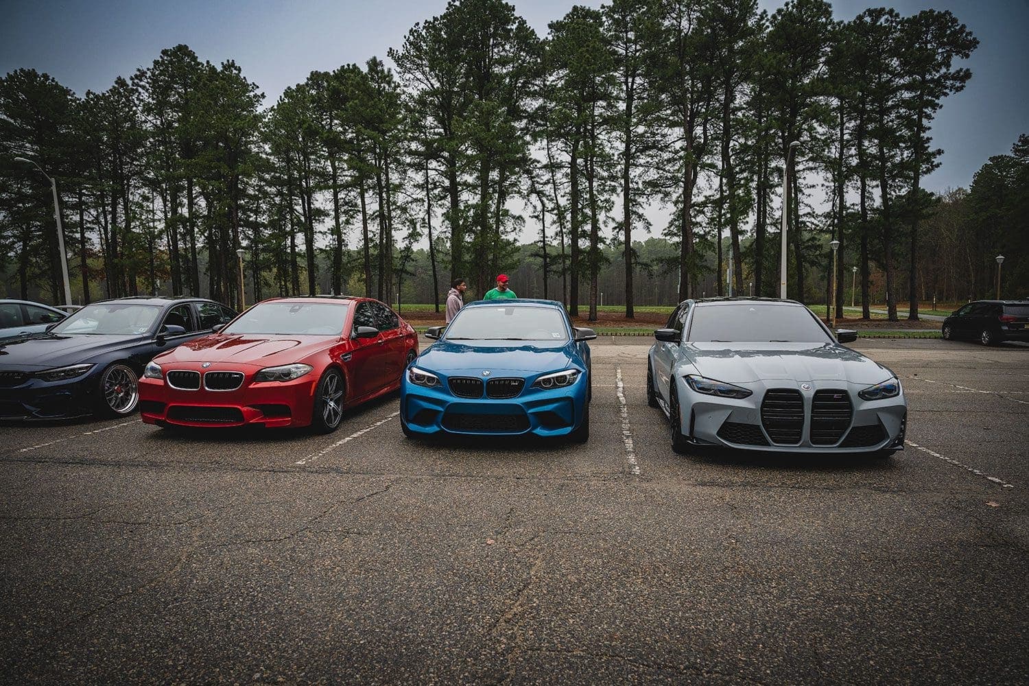 Spring M Cruise
