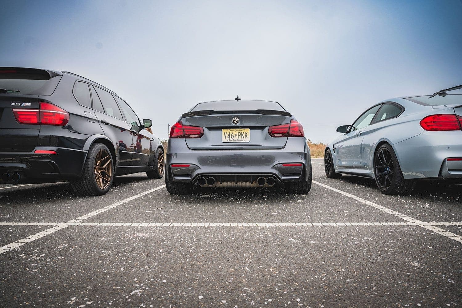 Spring M Cruise