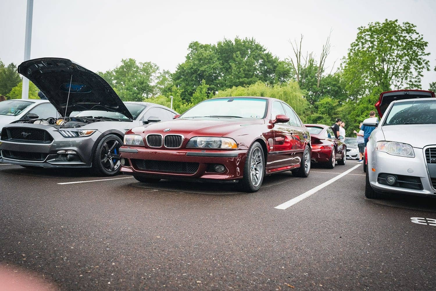 Thompson BMW