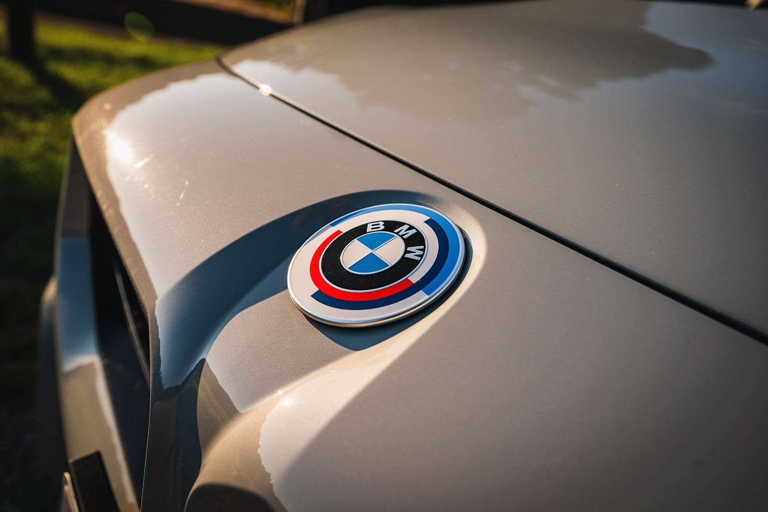 M 50th anniversary badge