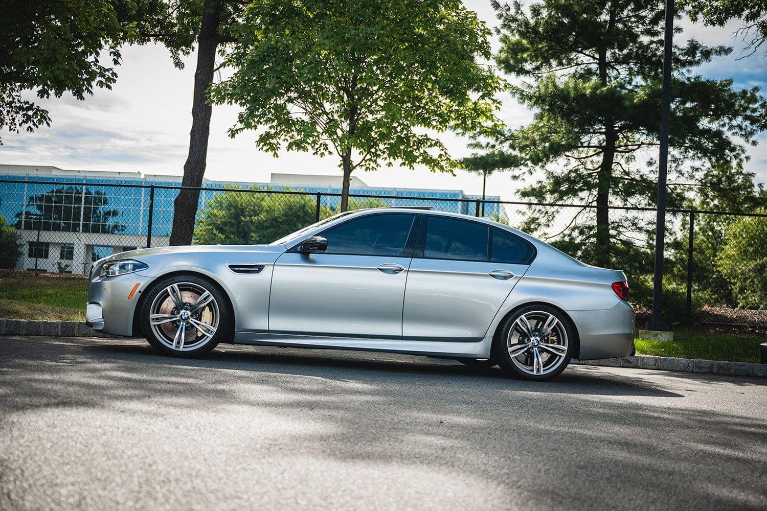 Pure Metal Silver M5