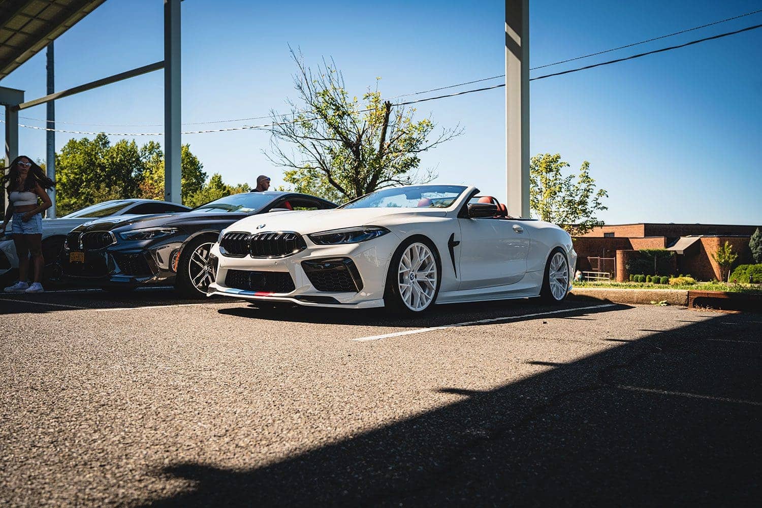 Alpine White