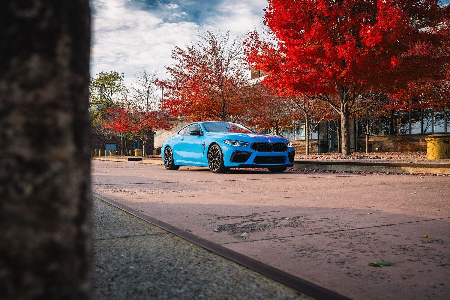 BMW M8