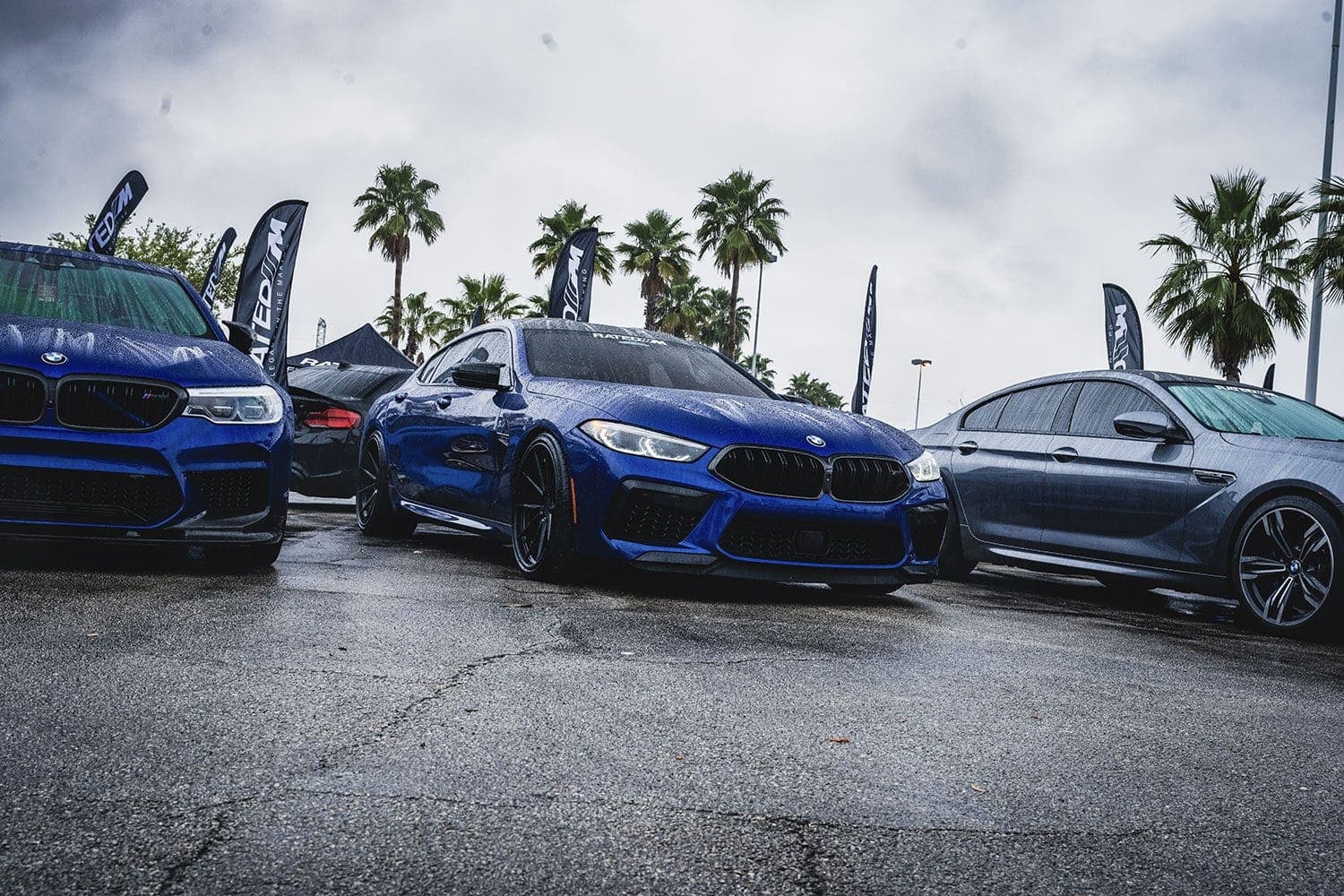 Bimmer Invasion Orlando