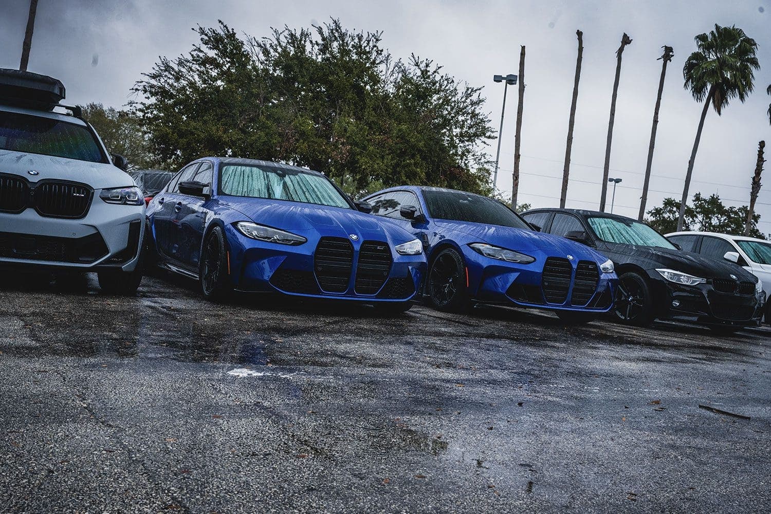Bimmer Invasion Orlando