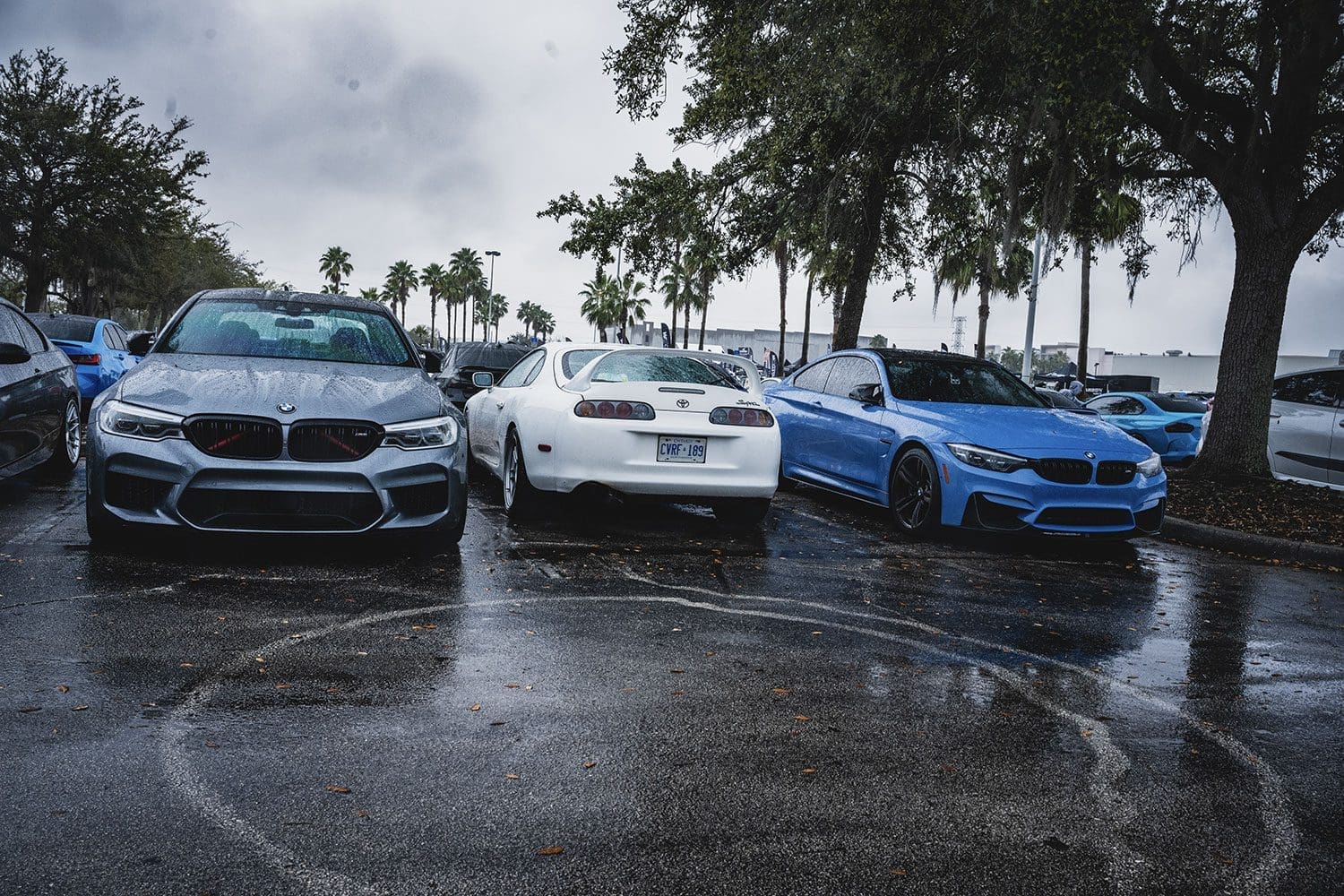 Bimmer Invasion Orlando