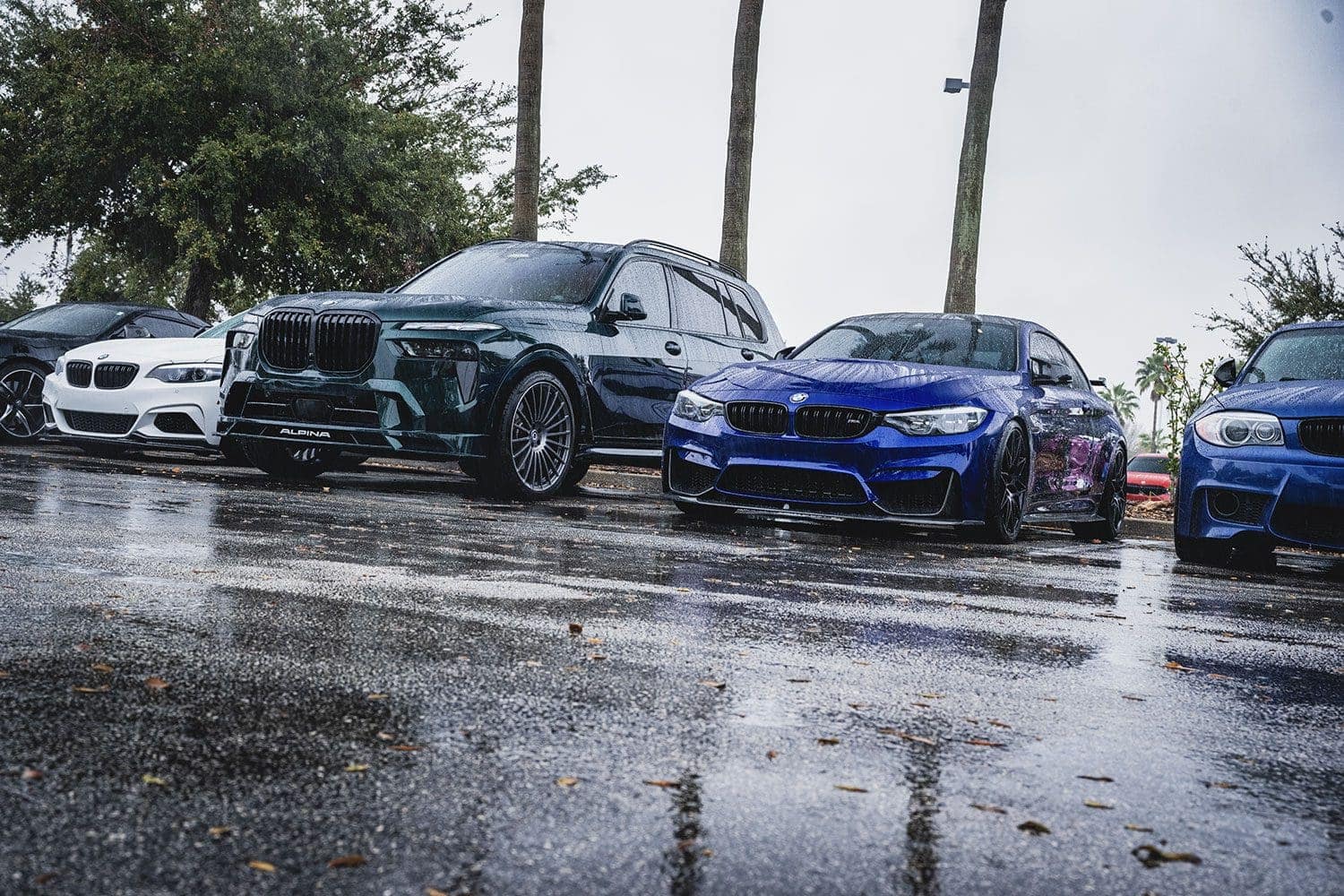Bimmer Invasion Orlando