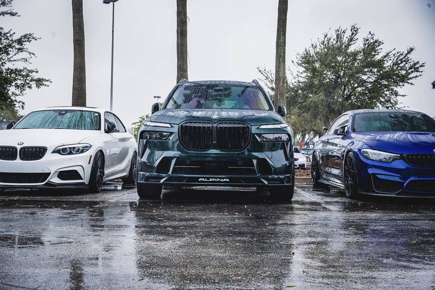 Bimmer Invasion Orlando