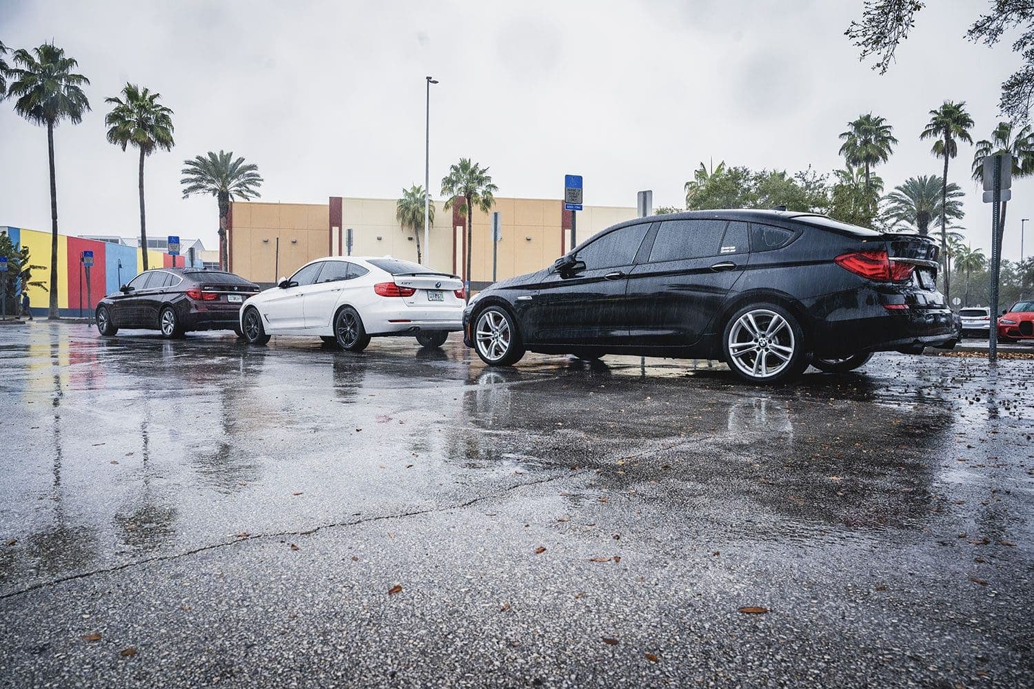 Bimmer Invasion Orlando