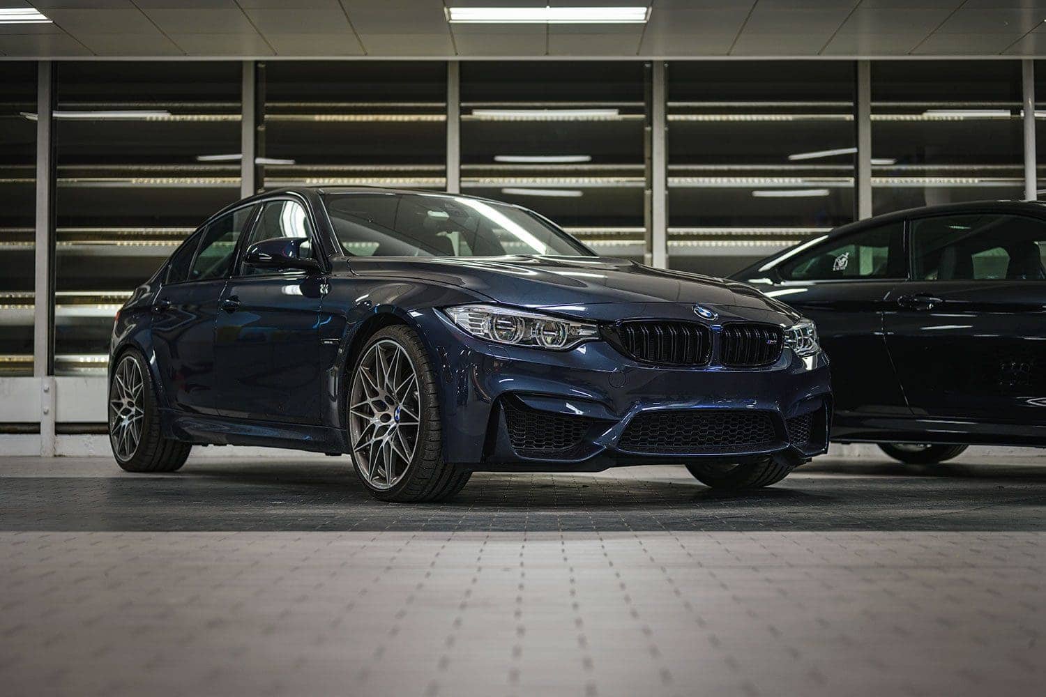 Macau blue