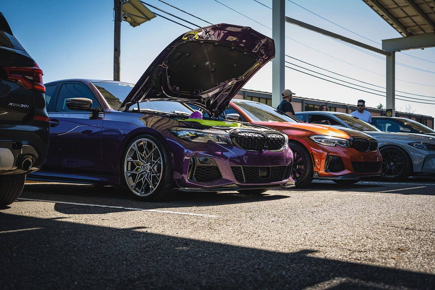 twilight purple