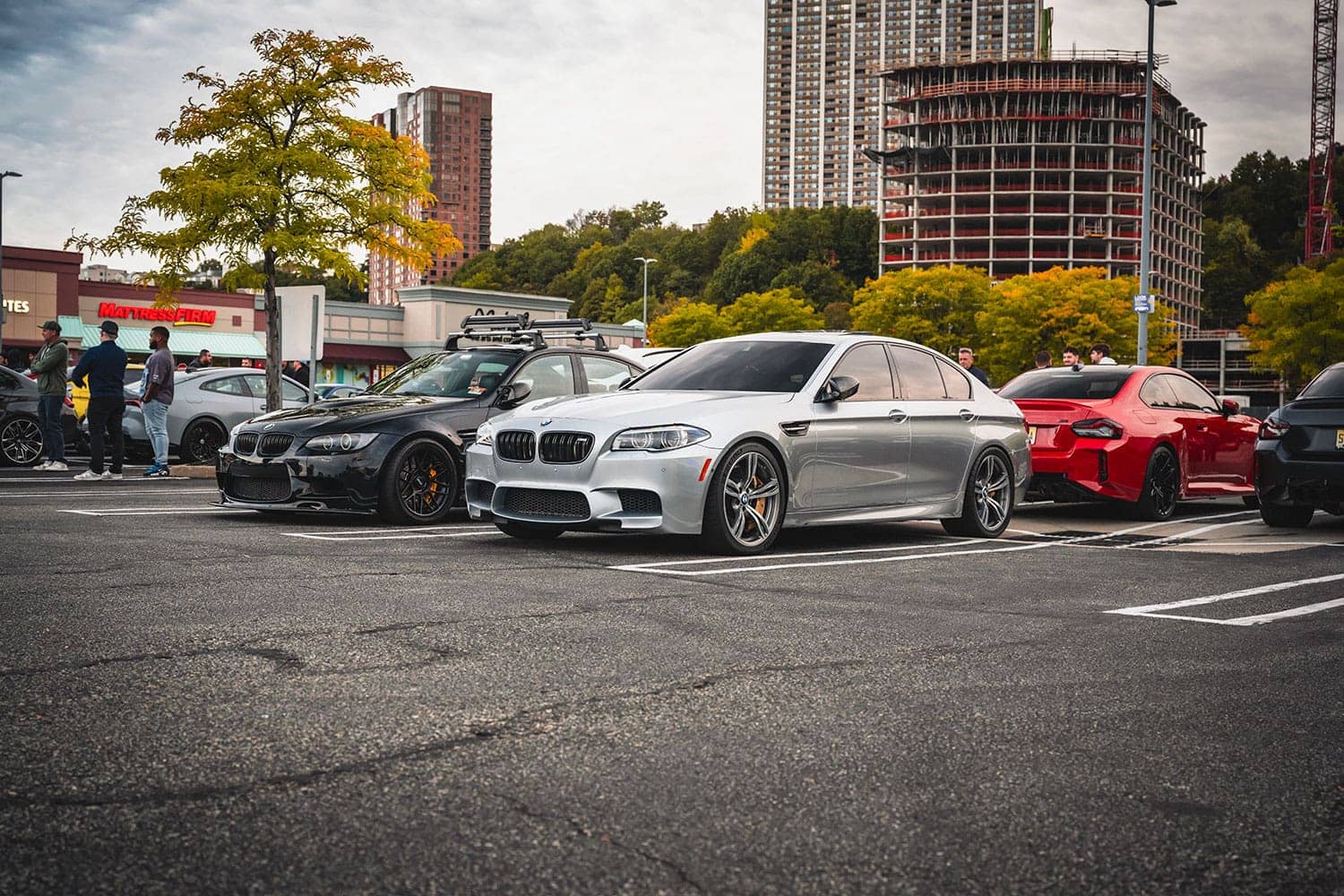 2024 M Fall Cruise