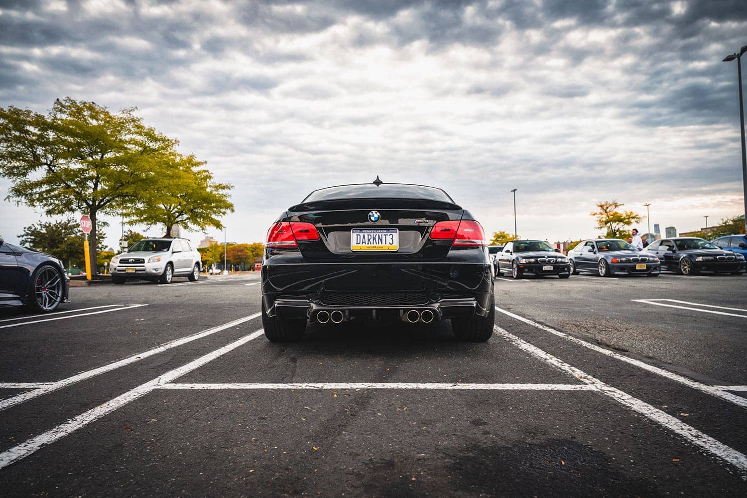 2024 M Fall Cruise