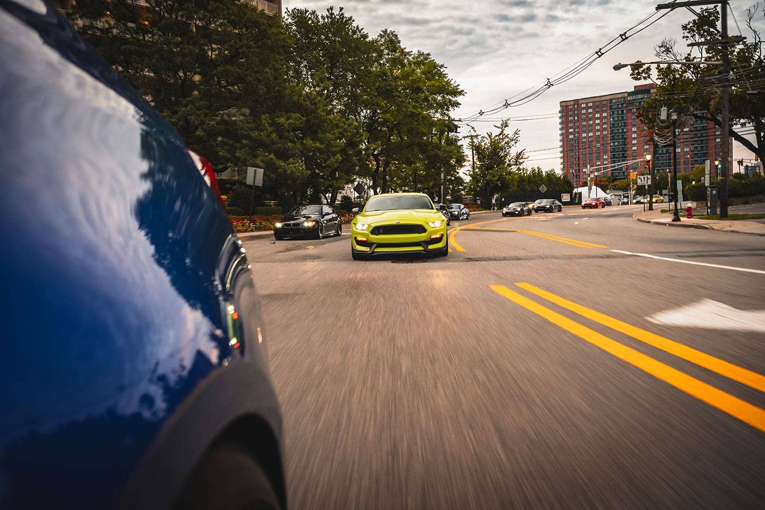2024 M Fall Cruise