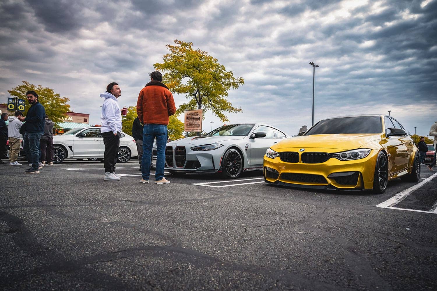 2024 M Fall Cruise