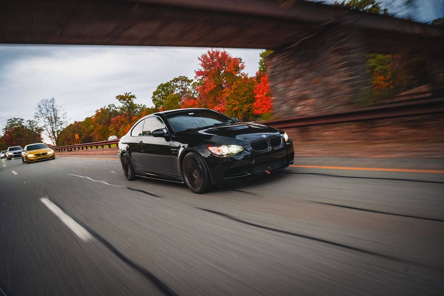 2024 M Fall Cruise
