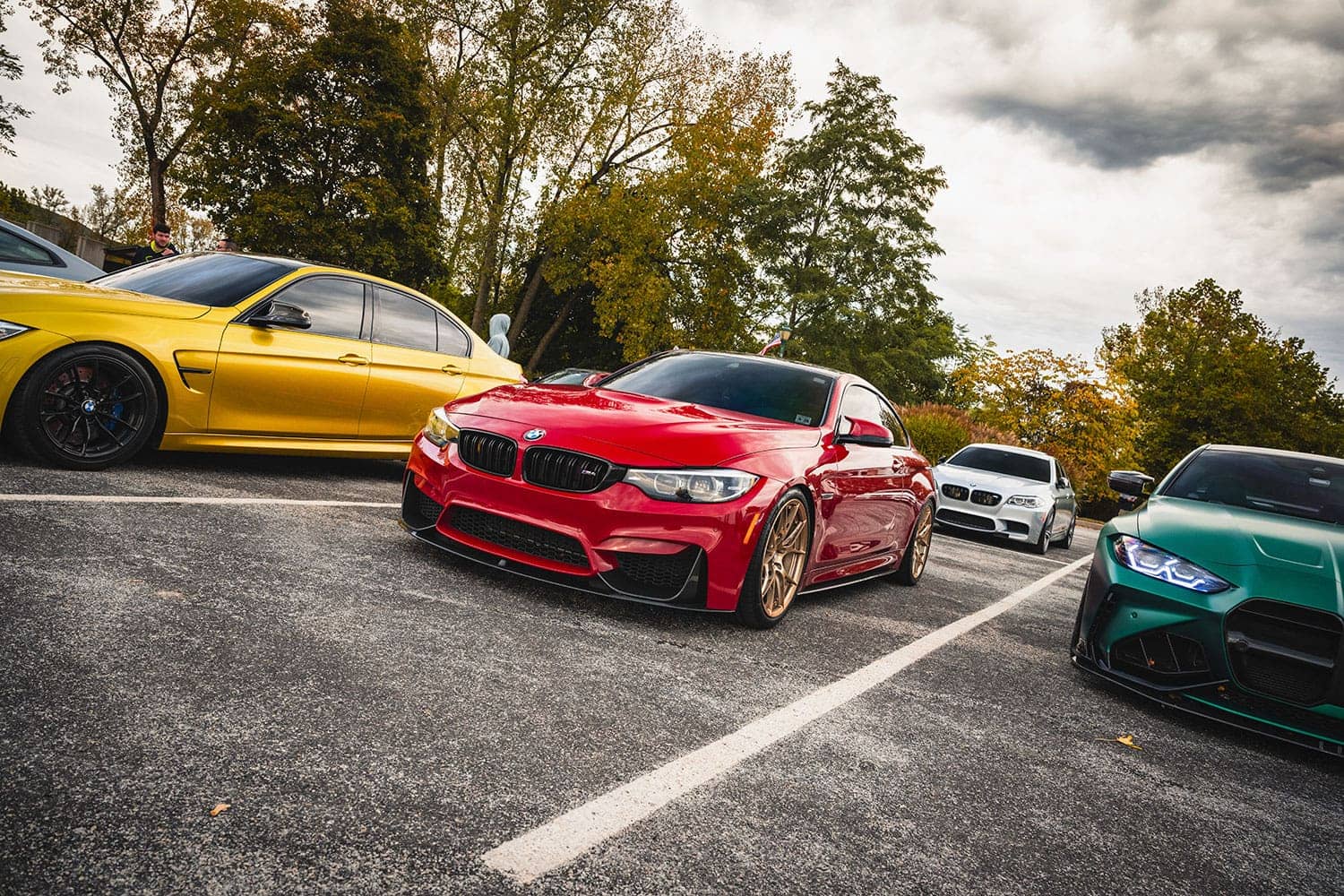 2024 M Fall Cruise