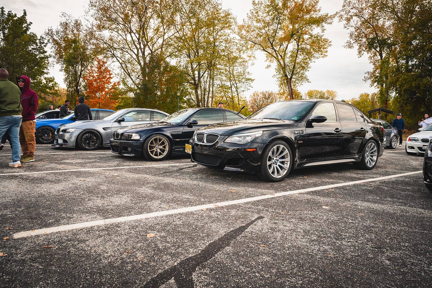2024 M Fall Cruise
