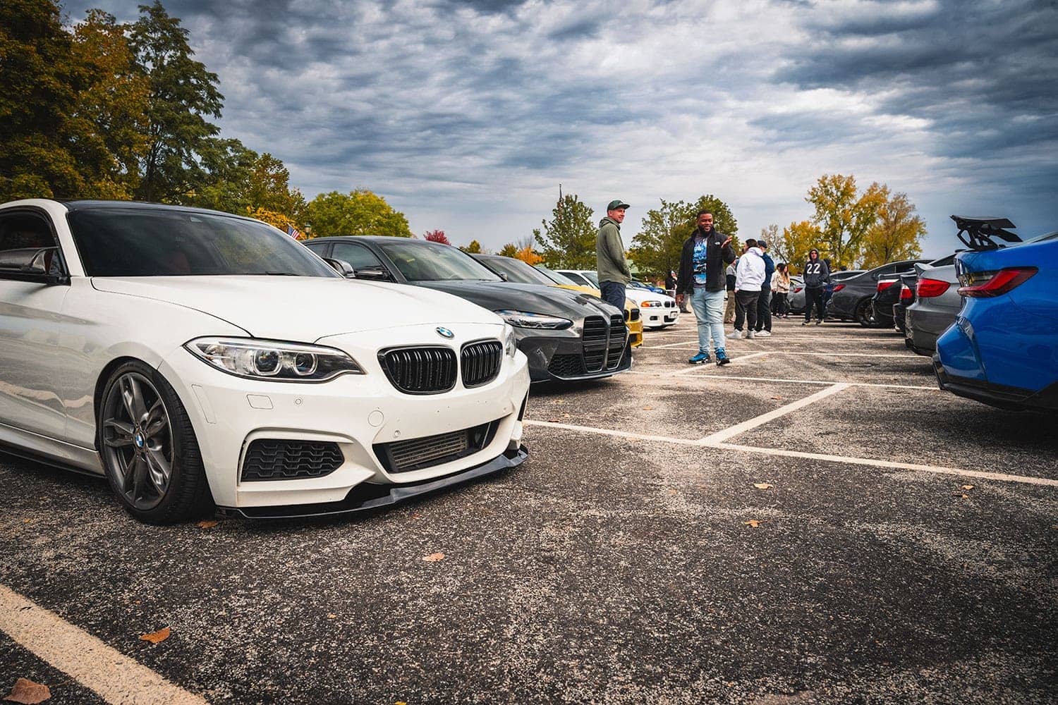 2024 M Fall Cruise
