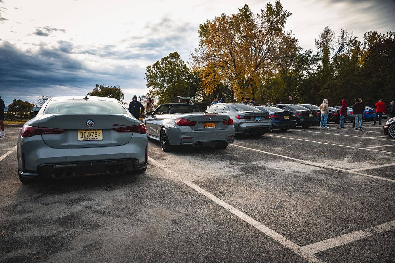 2024 M Fall Cruise