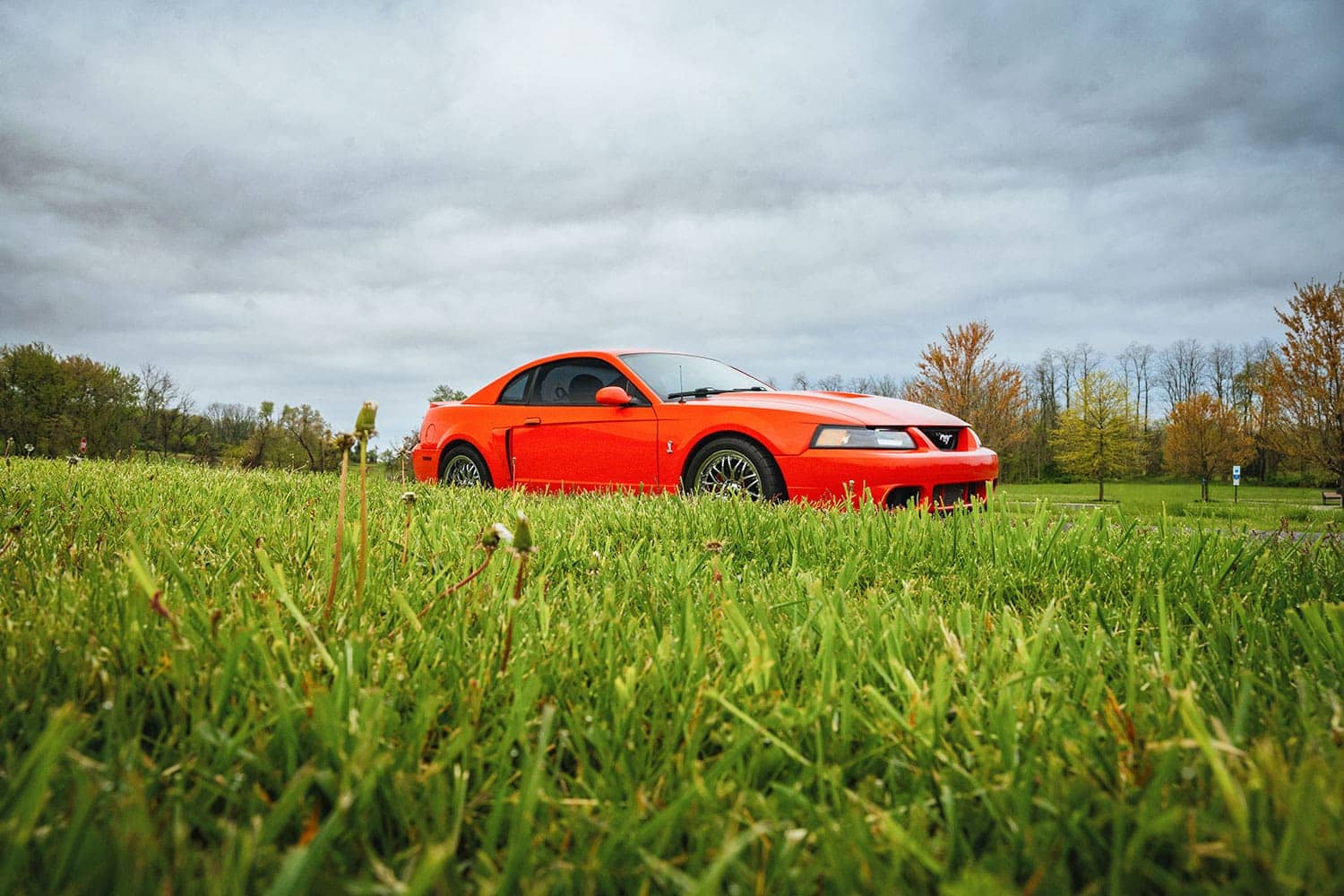 ford-mustang-svt-cobra-41